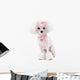 Fashionable Pink Dog Poodle Wall Decal