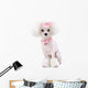Fashionable Pink Dog Poodle Wall Decal