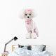 Fashionable Pink Dog Poodle Wall Decal