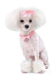 Fashionable Pink Dog Poodle Wall Decal