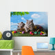 Easter Small Kittens Playing Wall Decal