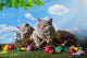 Easter Small Kittens Playing Wall Decal