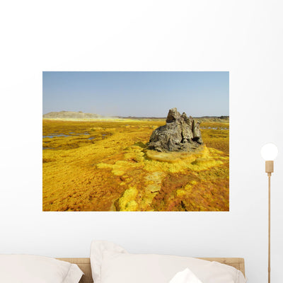 Danakil Depression Dallol Ethiopia Wall Decal shown on a wall