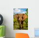 Charging African Elephant Wall Decal