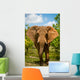 Charging African Elephant Wall Decal