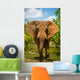 Charging African Elephant Wall Decal
