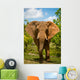 Charging African Elephant Wall Decal