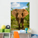 Charging African Elephant Wall Decal