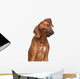 Rhodesian Ridgeback Dog Wall Decal
