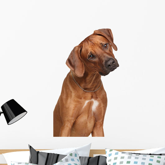 Rhodesian Ridgeback Dog Wall Decal