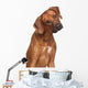 Rhodesian Ridgeback Dog Wall Decal