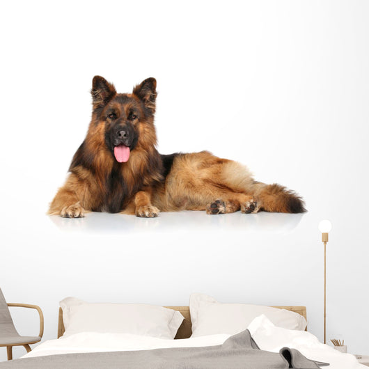 German Shepherd Dog Wall Decal Design 2
