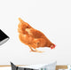 Pecking Chicken Wall Decal