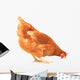 Pecking Chicken Wall Decal