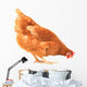 Pecking Chicken Wall Decal