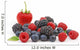 Tasty Fruit Wall Decal