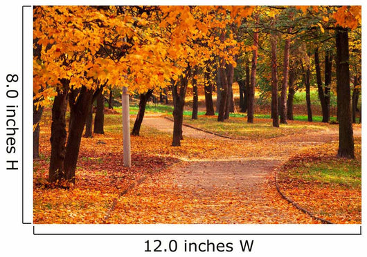 Autumn Park Wall Decal