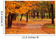 Autumn Park Wall Decal
