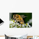 Insect Wall Decal