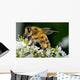 Insect Wall Decal