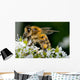 Insect Wall Decal