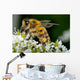 Insect Wall Decal