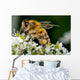 Insect Wall Decal