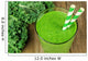 Healthy Green Kale Smoothie Wall Decal