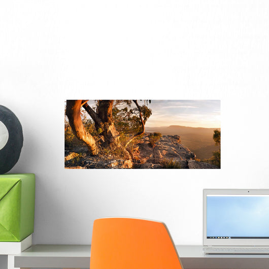 Australian Bush Landscape Wall Decal