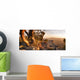 Australian Bush Landscape Wall Decal