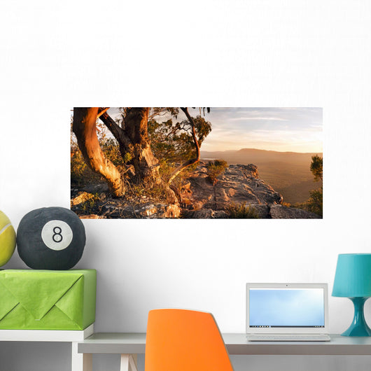 Australian Bush Landscape Wall Decal