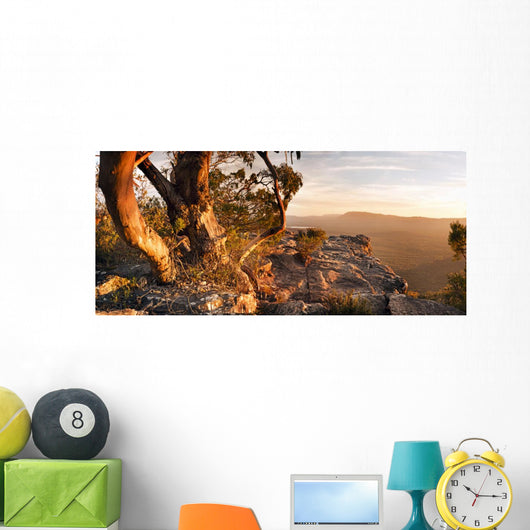 Australian Bush Landscape Wall Decal