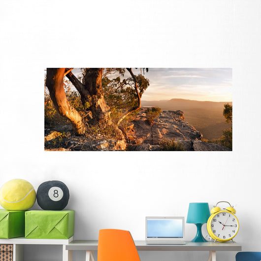 Australian Bush Landscape Wall Decal