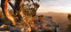 Australian Bush Landscape Wall Decal