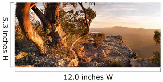 Australian Bush Landscape Wall Decal