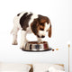 Beagle Puppy Wall Decal