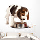 Beagle Puppy Wall Decal
