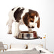 Beagle Puppy Wall Decal