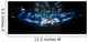 Big Concert Wall Decal