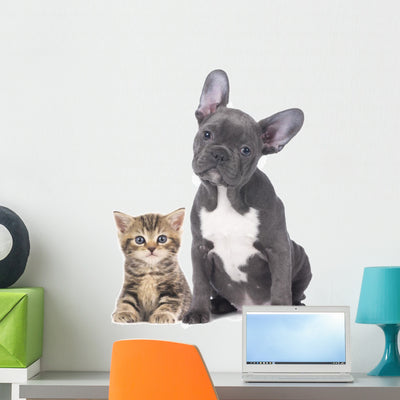 French Bulldog Kitten Wall Decal shown on a wall