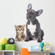 French Bulldog Kitten Wall Decal