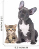 French Bulldog Kitten Wall Decal