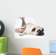Vet Examines Pug Wall Decal