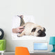 Vet Examines Pug Wall Decal
