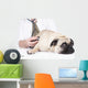 Vet Examines Pug Wall Decal