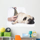 Vet Examines Pug Wall Decal