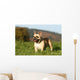 Chien Bouledogue Frana Ais Wall Decal