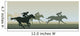 Horse Racing Wall Decal Design 1