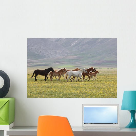 Wild Horses Umbria Wall Decal