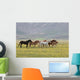 Wild Horses Umbria Wall Decal